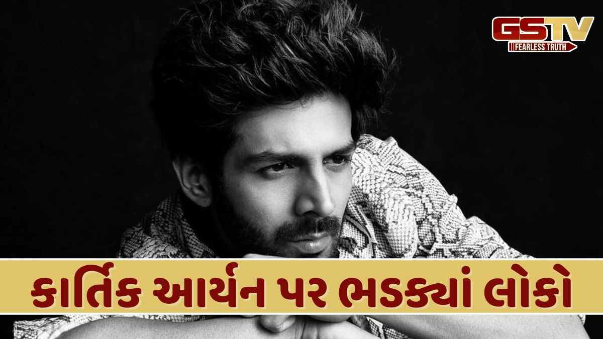 રિલીઝ થયું 'સાત સમુંદર પાર'નું રીમેક વર્ઝન, આ ગીતને કારણે કાર્તિક થયો ટ્રોલ
