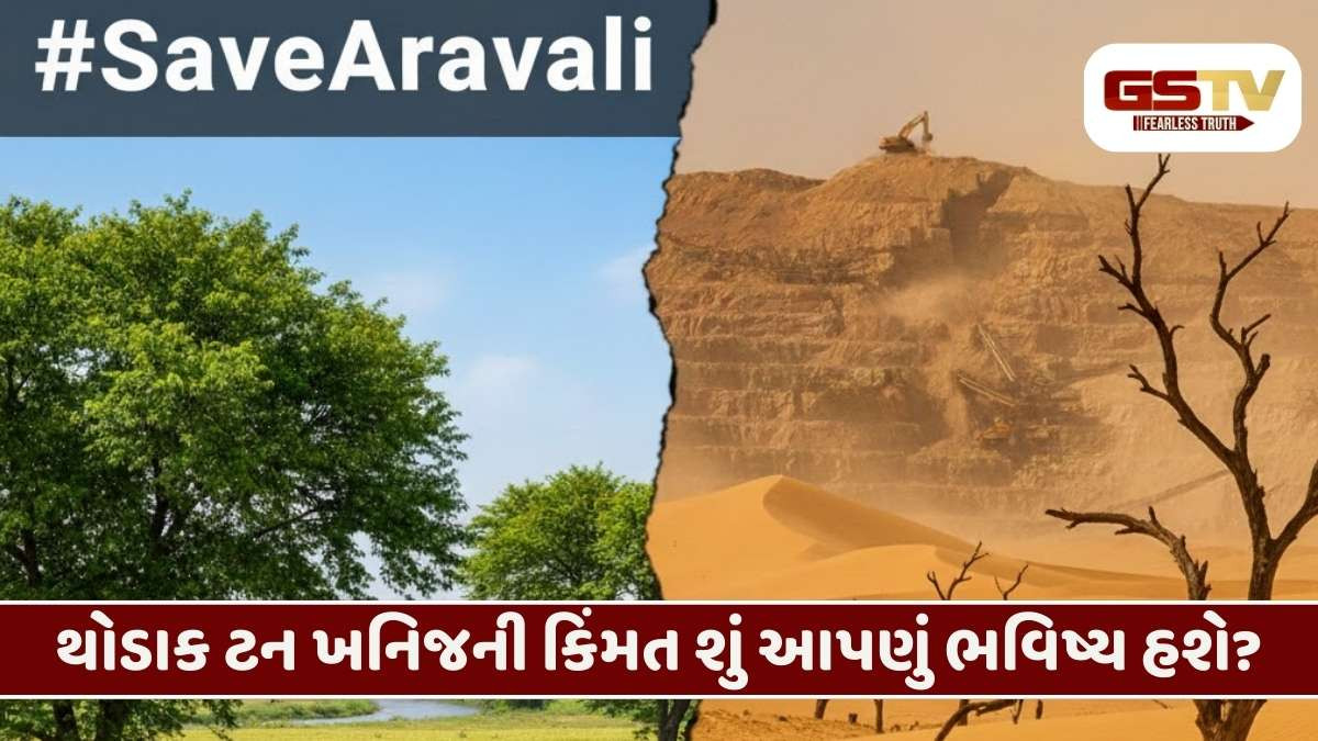 Save Aravalli: અરવલ્લીના પહાડો તોડવા એટલે ઉત્તર ગુજરાતના લીલાછમ ખેતરોને રણમાં ફેરવવા  