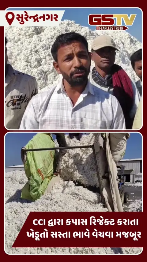 Surendranagar: સાયલાના સીસીઆઇ કેન્દ્રમાં બી ગ્રેડના કપાસની ખરીદીની માંગ