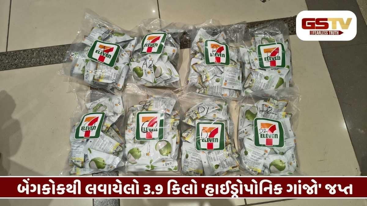 Ahmedabad એરપોર્ટ પર બેંગકોકથી લવાયેલો 3.9 કિલો 'હાઈડ્રોપોનિક ગાંજો' જપ્ત, એકની ધરપકડ