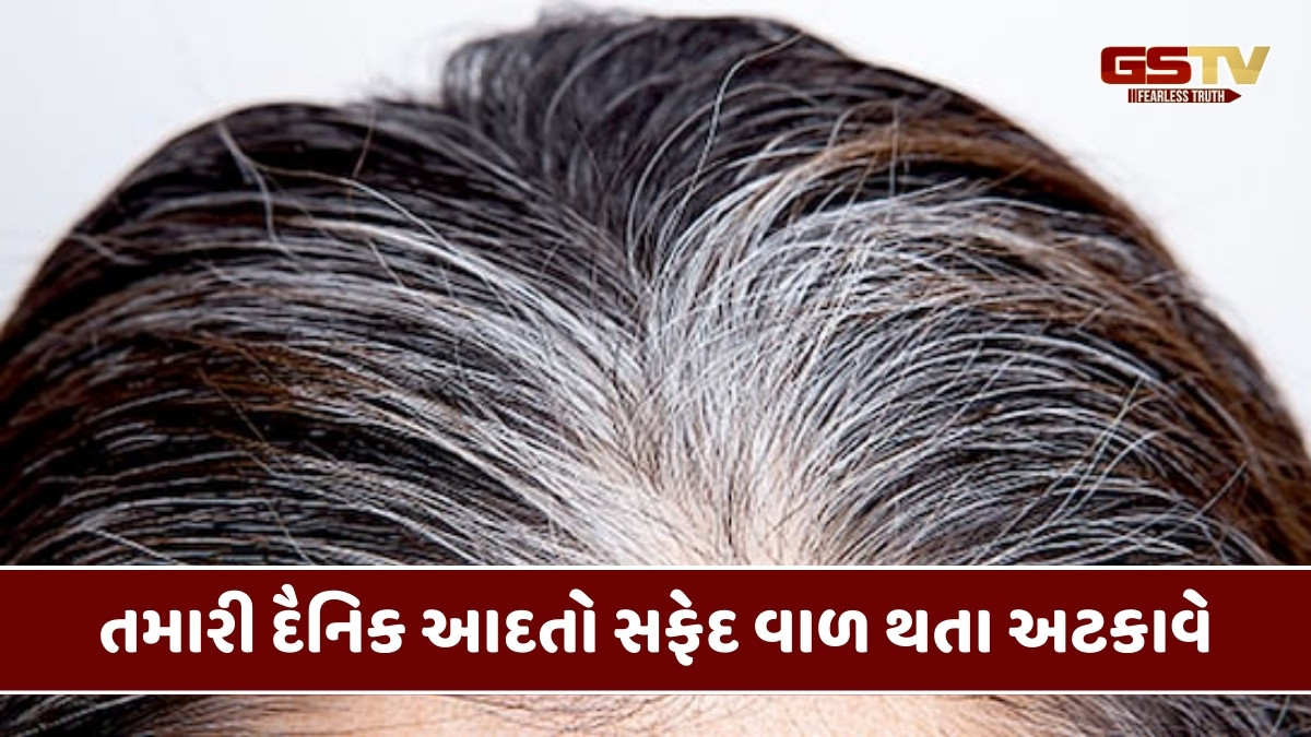 Hair Care Tips : નાની ઉંમરમાં જ સફેદ વાળ થવા લાગ્યા છે? તો આ રોજિંદા આદતોમાં કરો ફેરફાર 