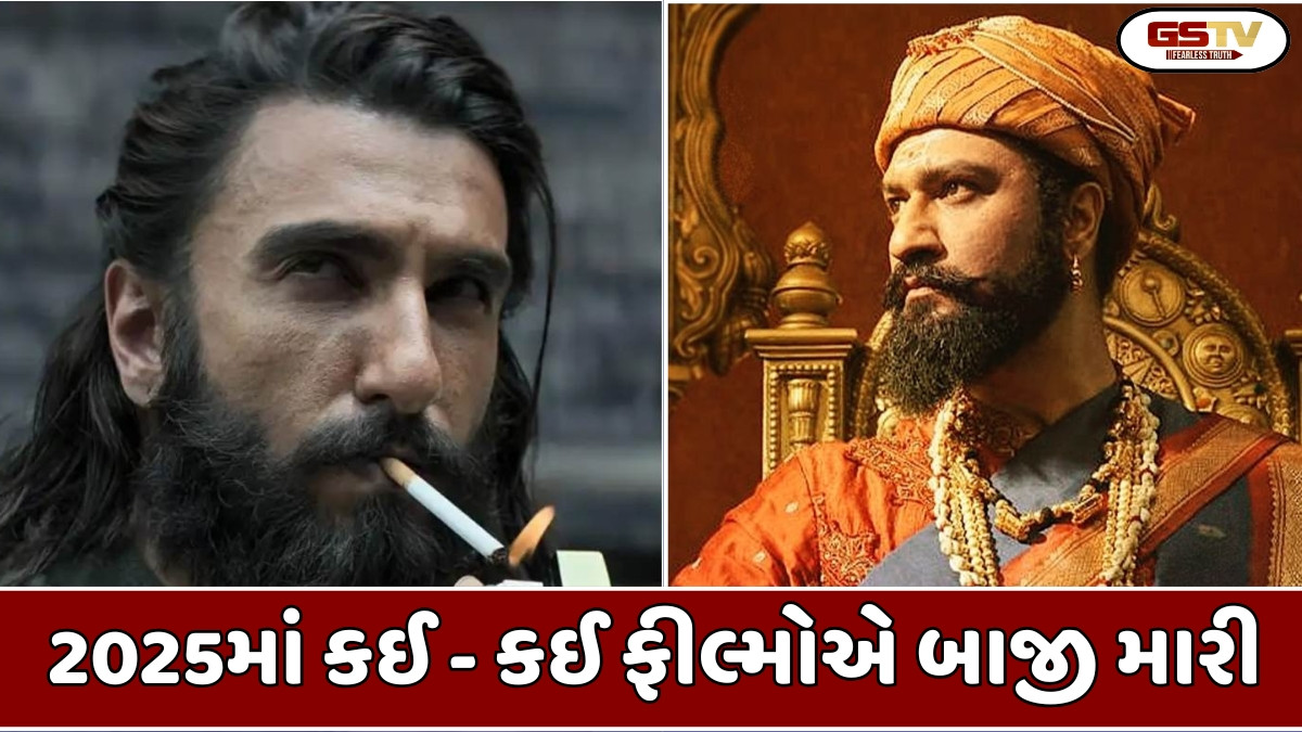 Chitralok: 2025ની સાલમાં સૌથી વધુ કમાણી કરનારી ફિલ્મો