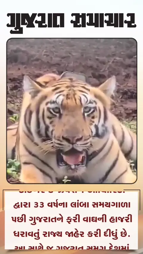 ગુજરાત ૩૩ વર્ષે ટાઈગર સ્ટેટ જાહેર