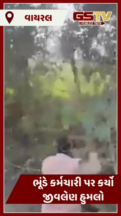 VIDEO : જંગલી ભૂંડે વન વિભાગના કર્મચારી પર કર્યો જીવલેણ હુમલો