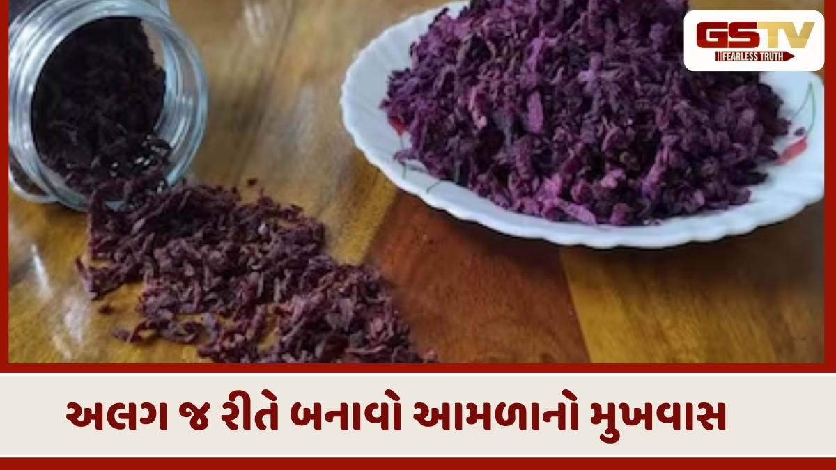 Recipe : કોઈ જ ઝંઝટ વિના ફટાફટ બનાવી લો આમળાનો મુખવાસ, સ્ટોર કરીને રાખી શકશો આખું વર્ષ 