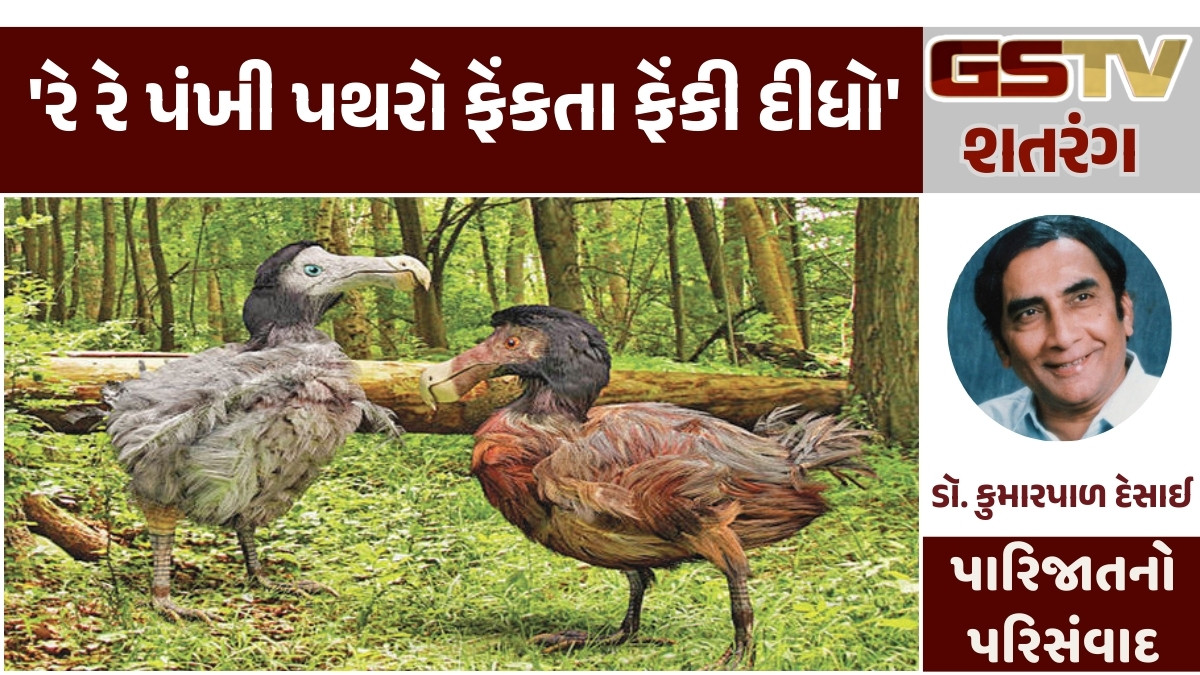 Gstv શતરંગ : 'રે રે પંખી પથરો ફેંકતા ફેંકી દીધો'