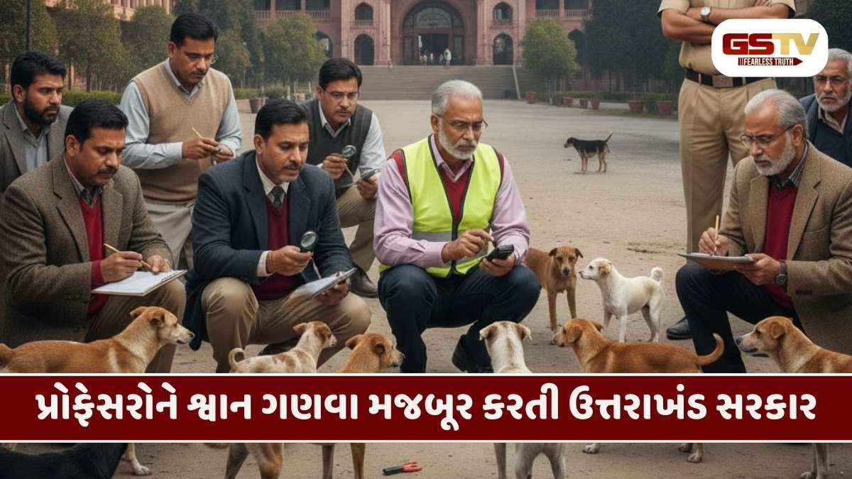 શિક્ષણ વિભાગનો અજીબોગરીબ ફતવો: ઉત્તરાખંડની ડિગ્રી કોલેજોના પ્રોફેસરો હવે રખડતા શ્વાનનો ડેટા તૈયાર કરશે