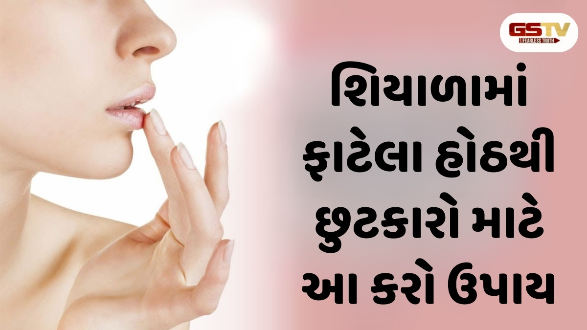 Skin Care Tips : શિયાળામાં ફાટેલા હોઠથી છુટકારો માટે આ કરો ઉપાય, હોઠ થઈ જશે ગુલાબી