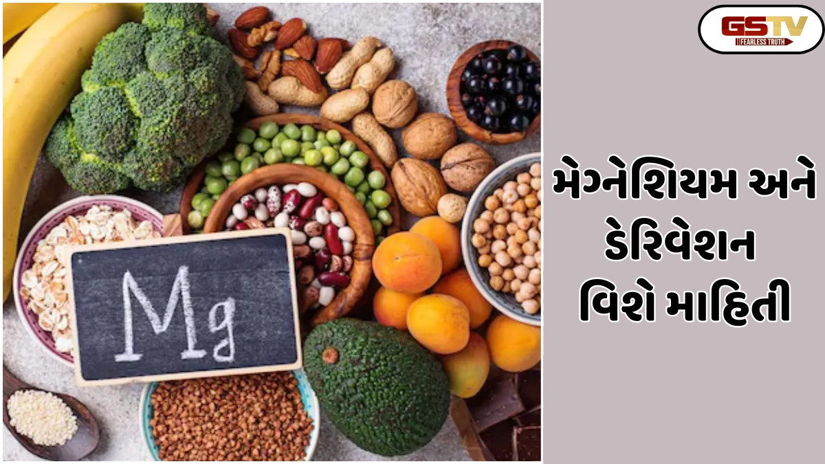 Business Plus : મેગ્નેશિયમ અને ડેરિવેશન વિશે માહિતી અને તેનો ઉપયોગ