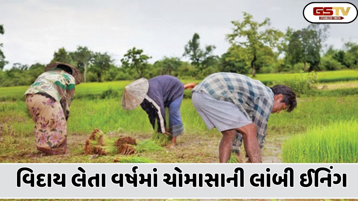 Business Plus: વિદાય લેતા વર્ષમાં ચોમાસાએ લાંબી ઈનિંગ રમતાં કૃષી વાવેતરમાં વૃદ્ધી