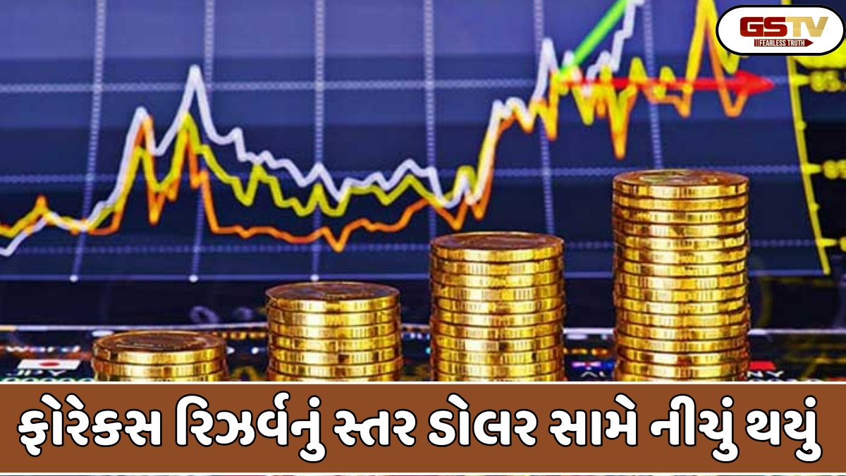 Business Plus : ફોરેકસ રિઝર્વનું સ્તર 700 અબજ ડોલરની નીચે રહ્યું