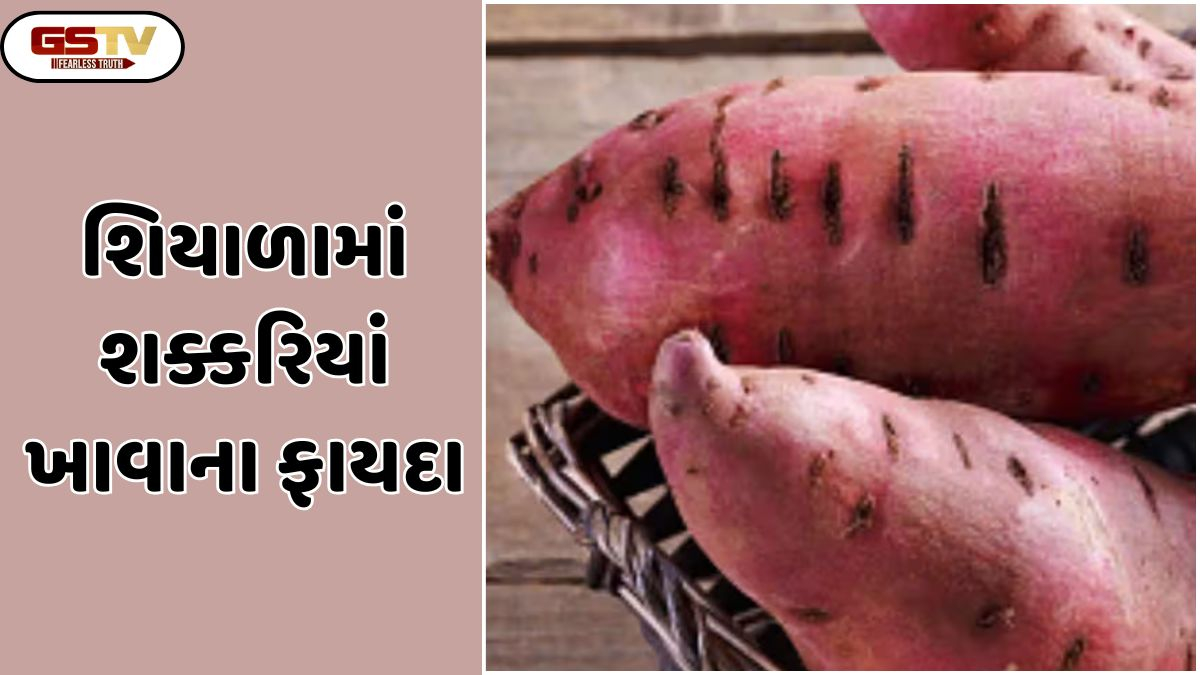 Sahiyar: શિયાળામાં શક્કરિયાંનું સેવન  કરવું  શ્રેષ્ઠ મનાય છે