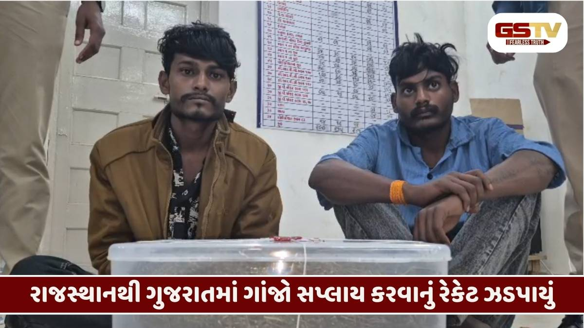 Sabarkantha/ રાજસ્થાનથી ગુજરાતમાં ગાંજો સપ્લાય કરતું રેકેટ ઇડરમાં ઝડપાયું; 3ની ધરપકડ
