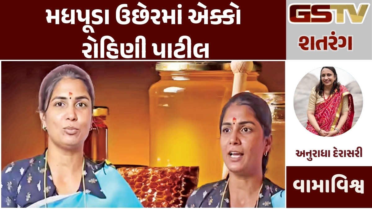 Gstv શતરંગ : મધપૂડા ઉછેરમાં એક્કો રોહિણી પાટીલ