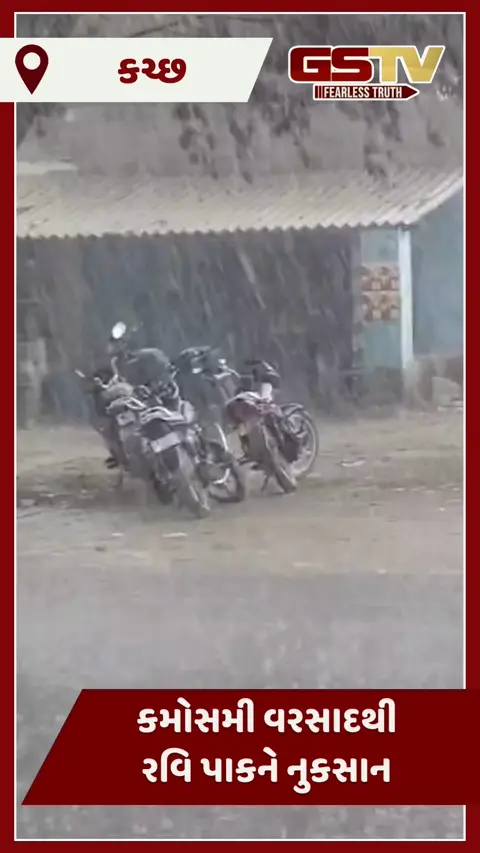 Video: કચ્છમાં ભરશિયાળે કમોસમી વરસાદ ખાબક્યો, ખેડૂતોને પાકમાં નુકસાન જવાની ભીતિ