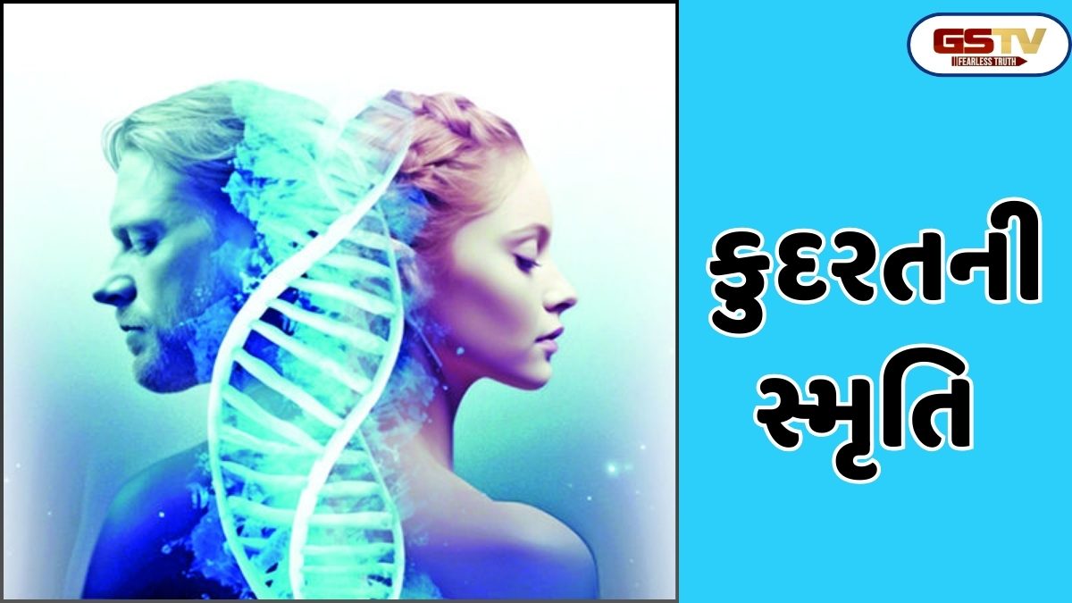 Shatdal: મોર્ફિક ફીલ્ડ જીવોના રૂપ, વિકાસ અને વર્તનને આકાર આપતી અદ્રશ્ય શક્તિ