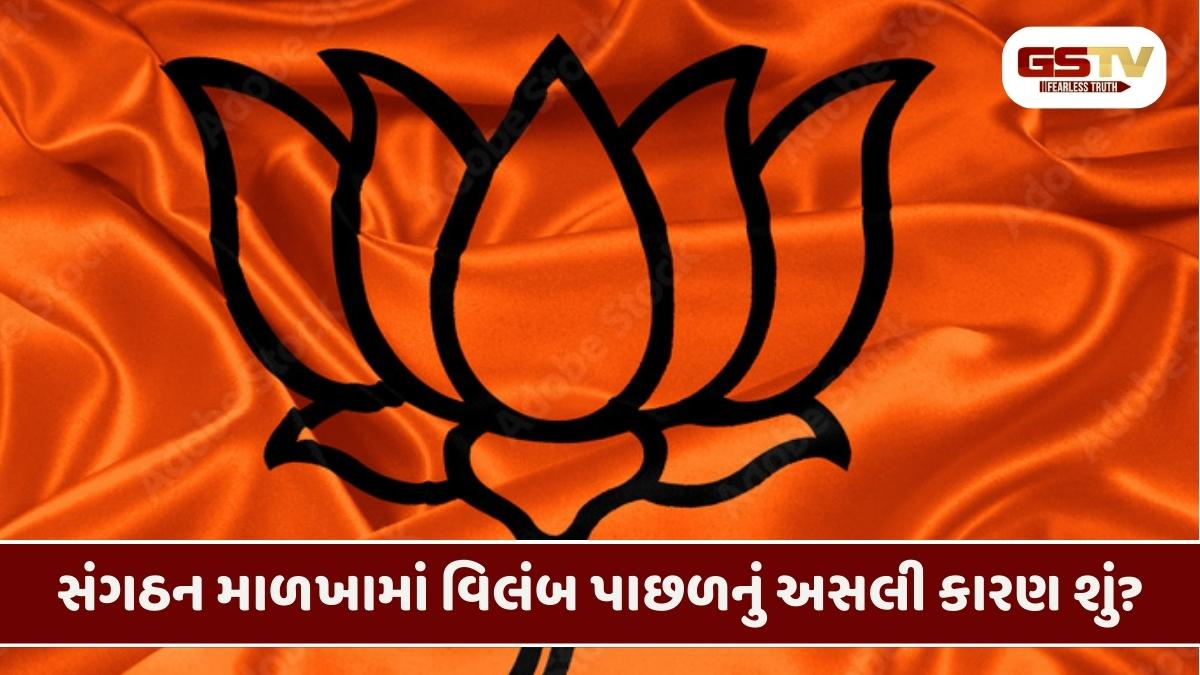 ભાજપ શહેર અને જિલ્લા સંગઠનમાં હોદ્દેદારોની પસંદગીમાં મામલો ગૂંચવાયો: પેનલો રદ કરી નવેસરથી નામ મંગાવાતા નેતાઓમાં દોડધામ