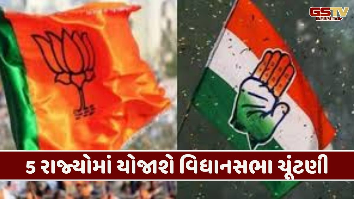 વર્ષ 2026 ભારતીય રાજકારણ માટે ખૂબ જ મહત્ત્વપૂર્ણ , ભાજપ માટે તક- વિપક્ષ માટે મોટા પડકાર