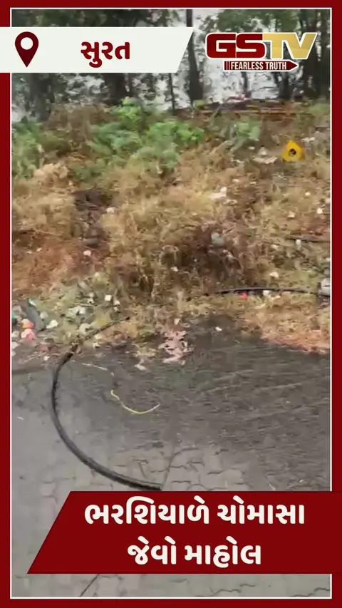 Video/ Suratના હજીરા પંથકમાં ભરશિયાળે વરસાદી ઝાપટું, કાતિલ ઠંડી વચ્ચે માવઠું પડતા જનજીવન પ્રભાવિત