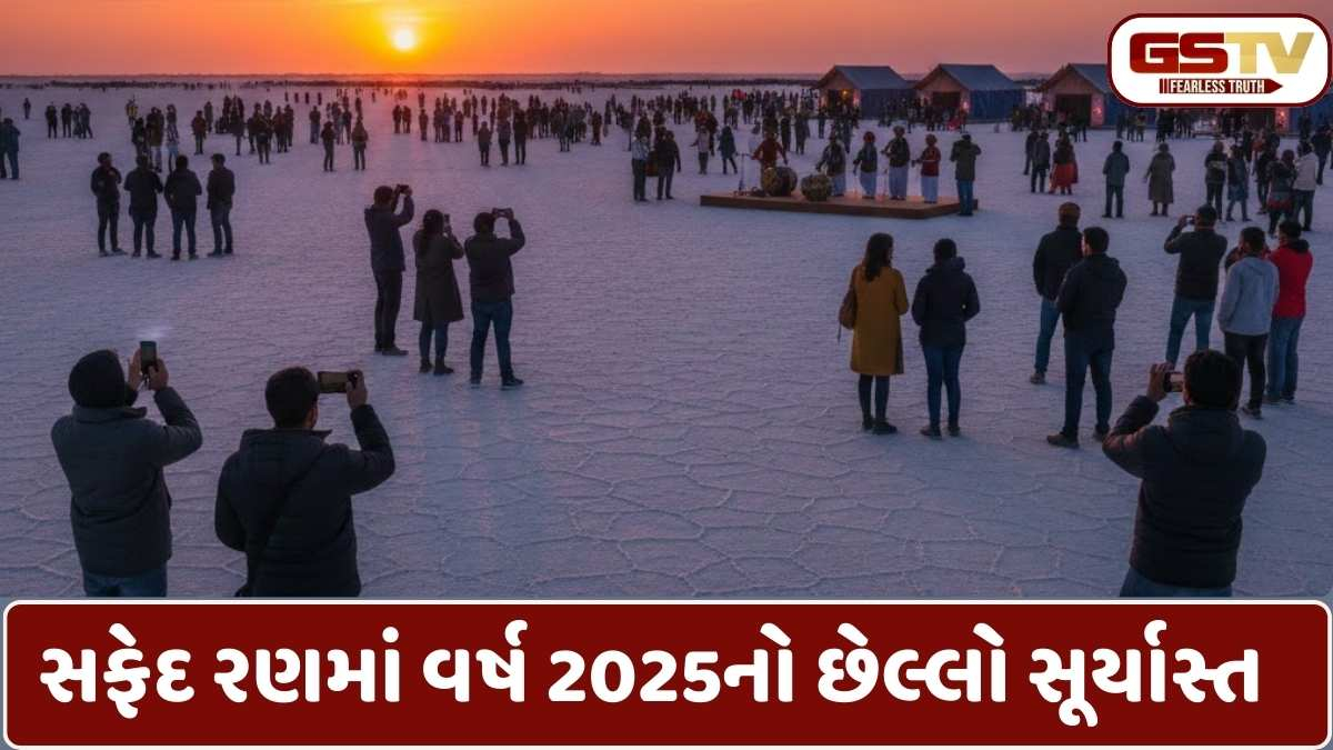 New year 2026: સફેદ રણના આંગણે 2025ના સૂર્યની ભાવભરી વિદાય, 2026ને આવકારવા ઉમટ્યું પ્રવાસીઓનું ઘોડાપૂર
