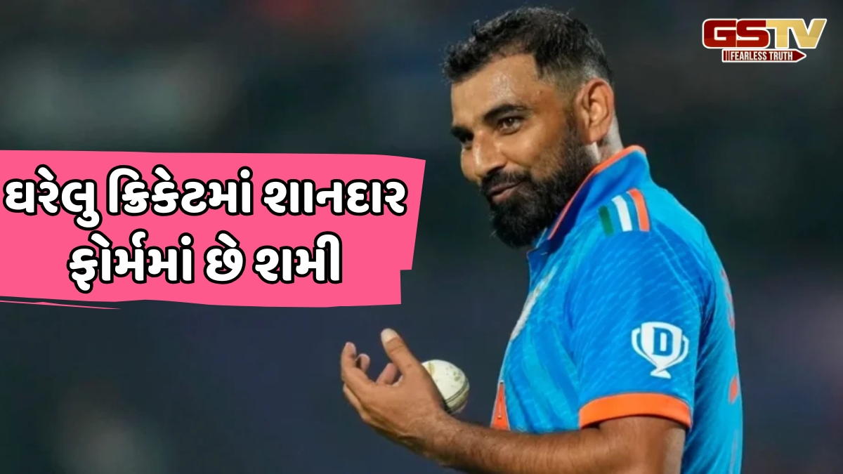 ટૂંક સમયમાં ODI ટીમમાં પાછો ફરી શકે છે મોહમ્મદ શમી, BCCIએ બનાવી લીધો છે પ્લાન!