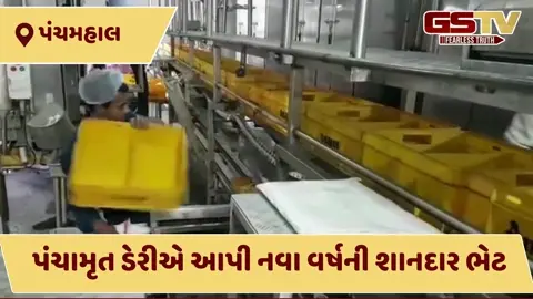 VIDEO: ખુશખબર! પંચામૃત ડેરીનો પશુપાલકોના હિતમાં મોટો નિર્ણય, હવે પ્રતિ કિલો ફેટના મળશે રૂ. 865