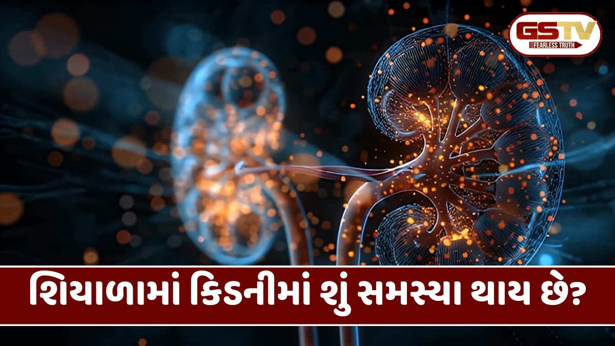 Health Tips: ઠંડીની ઋતુમાં ન કરશો આ ભૂલ, અન્યથા ખરાબ થઈ જશે કિડની