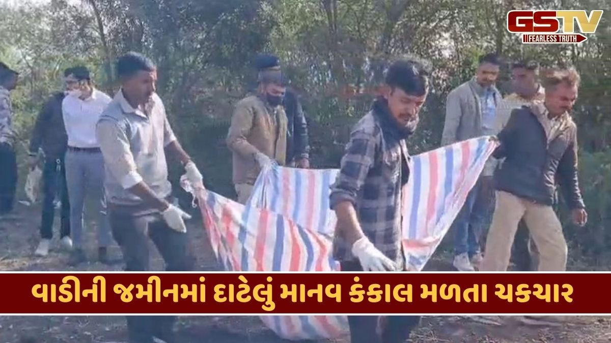 Amreli news: જમીનમાં દાટેલી હાલતમાં મળ્યું માનવ કંકાલ, હત્યા કરાઇ હોવાની પોલીસને આશંકા