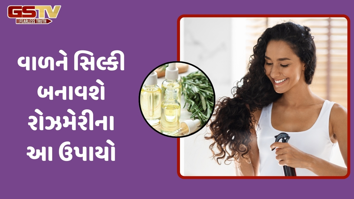 Hair Care Tips / મોંઘા શેમ્પૂ કે સીરમ નહીં, રોઝમેરીની મદદથી ઘટશે હેર ફોલ! આ રીતે કરો તેનો ઉપયોગ