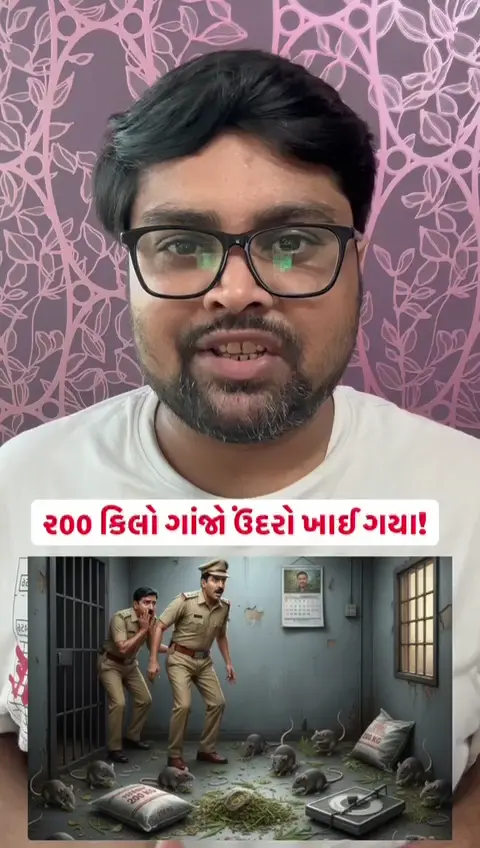૨૦૦ કિલો ગાંજો કથિત રીતે ઉંદરો ખાઈ ગયા!