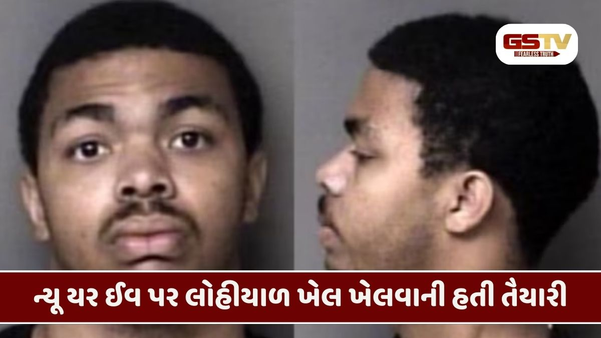 America/ ડાયરીમાં લખ્યો હતો 20 લોકોને મારવાનો પ્લાન;  FBI એ 18 વર્ષીય ISIS શંકાસ્પદની ધરપકડ
