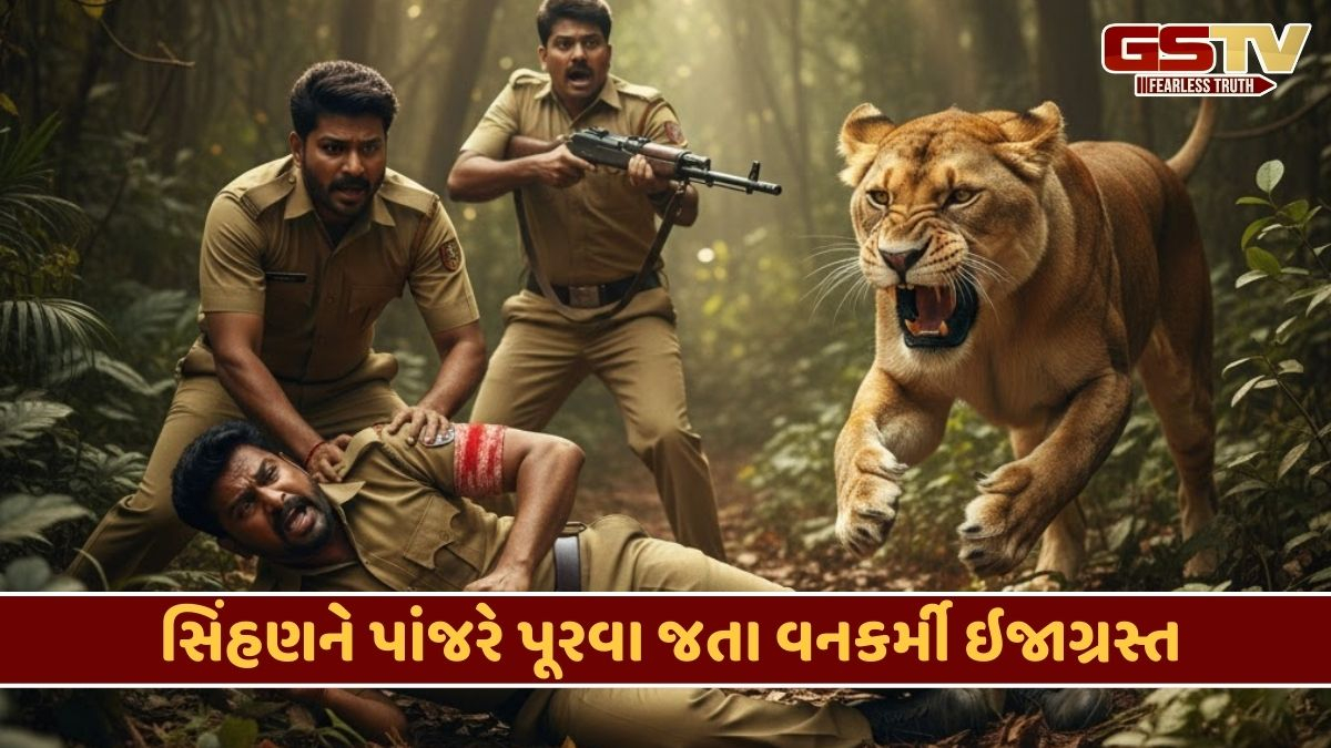 Junagadh news: સિંહણના હુમલામાં 4 વર્ષીય બાળકનું મોત, વન્યજીવને બેભાન કરવા ચલાવેલી ગોળી વનકર્મીને વાગી
