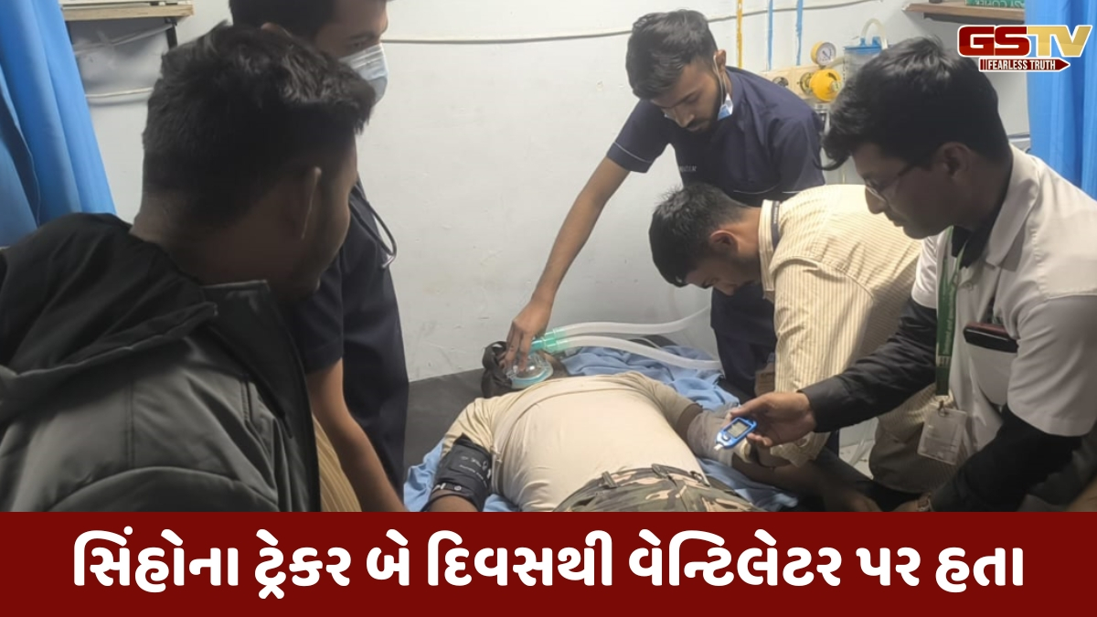 Gir somnath news: સિંહણને બેભાન કરવાનું ઇન્જેક્શન ભૂલથી વાગી જતાં વનકર્મીનું મોત