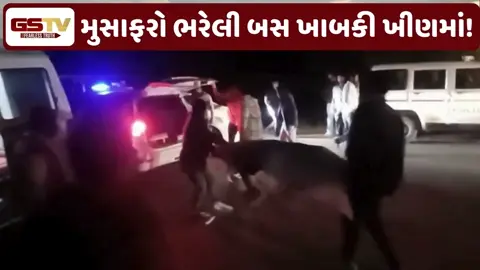 VIDEO: જાલોરમાં મુસાફરોને લઈ જતી બસ ખીણમાં ખાબકી, અકસ્માતમાં 2 લોકોના મોત, 20 ઈજાગ્રસ્ત