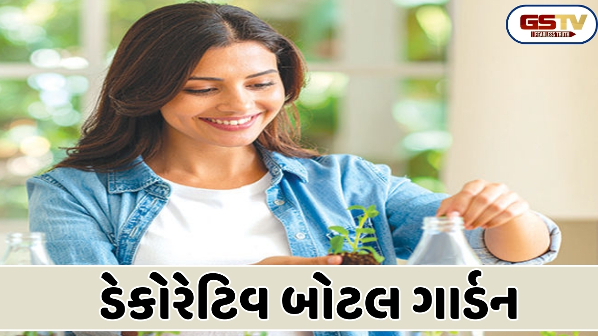 Sahiyar : ડ્રોઇંગરૂમની બ્યુટી વધારતા'બોટલ ગાર્ડન'