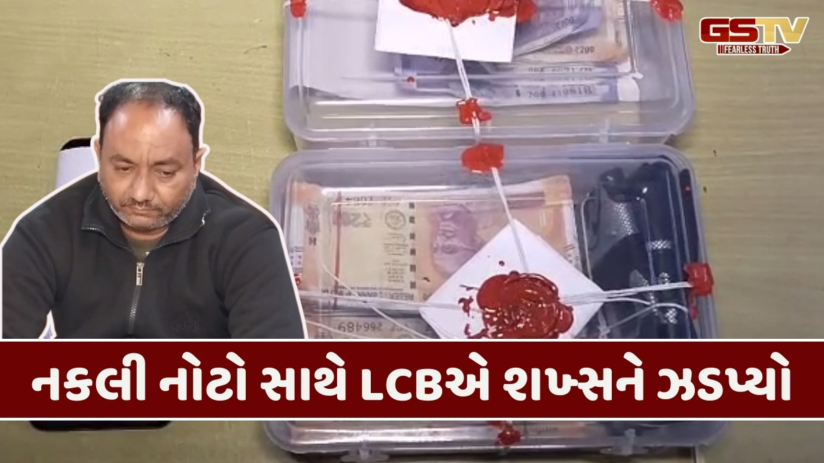 Bhavnagr news: LCBએ રૂ. 200ની 343 નકલી નોટો સાથે એક શખ્સને ઝડપ્યો, પોલીસે લાખોનો મુદ્દામાલ જપ્ત કર્યો
