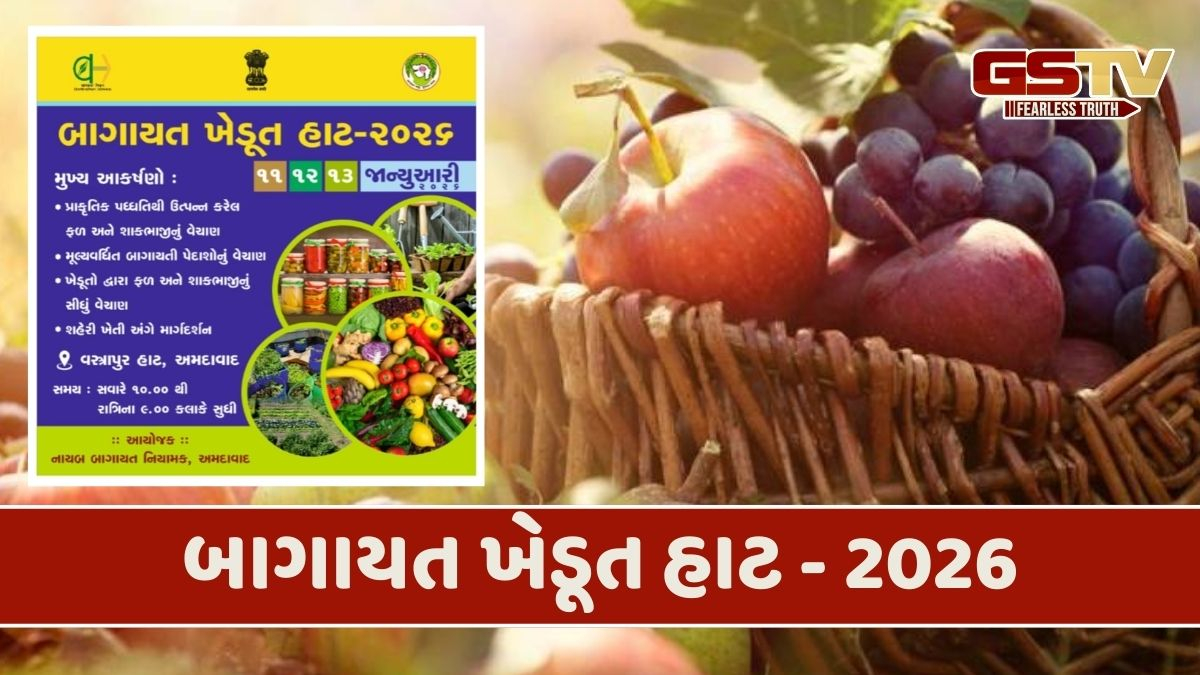 અમદાવાદમાં ભેગા થશે બાગાયાતદારો, વસ્ત્રાપુર હાટ ખાતે યોજાશે બાગાયત ખેડૂત હાટ