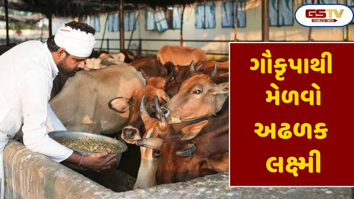 Religion: જીવનમાં ઓછામાં ઓછું એક વાર ગૌશાળામાં આ દાન કરો, અને તમને ધન અને સમૃદ્ધિ મળશે