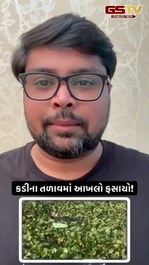 Mehsana: કડીના ઐતિહાસિક તળાવમાં આખલો ફસાયો, વીડિયો વાયરલ