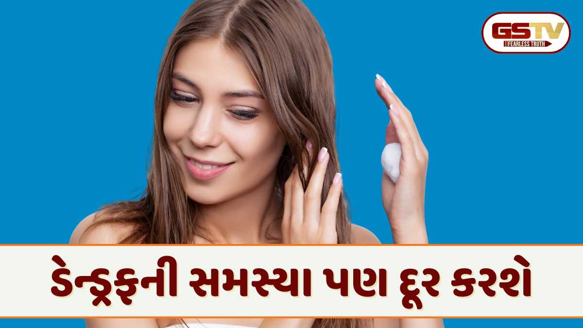 Hair Care Tips / હેર વોશના થોડા કલાક પહેલા લગાવી લો આ પેસ્ટ, સુંદર અને ચમકદાર બનશે તમારા વાળ!