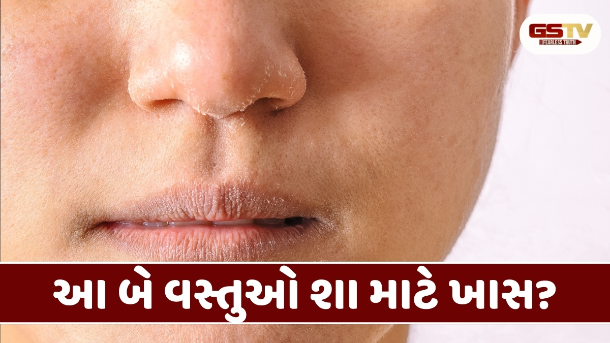 Beauty Tips : શિયાળામાં ત્વચાની ડ્રાયનેસ કરો દૂર, આ ઘરેલુ ઉપાયથી ચહેરા પર આવશે નિખાર 