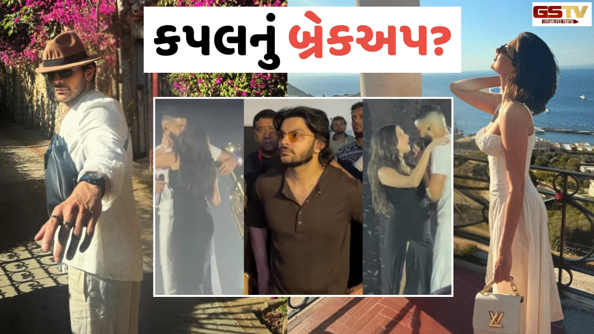 વધુ એક બોલિવૂડના કપલનું બ્રેકઅપ? AP Dhillon કોન્સર્ટમાં થયો હતો વિવાદ!
