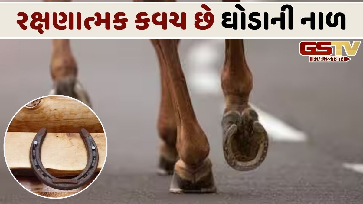 મુખ્ય દરવાજા પર ઘોડાની નાળ કેમ મૂકવામાં આવે છે? જાણો તેના મુખ્ય કારણો