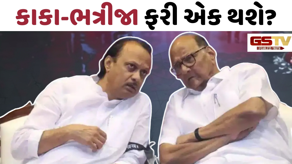 શરદ પવાર સાથે હાથ મિલાવવાની અટકળો પર અજિત પવારે આપ્યું નિવેદન