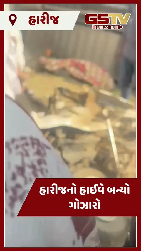 VIDEO: હારીજ પાસે લક્ઝરી બસ પલટી ખાતા ગમખ્વાર અકસ્માત, એકનું મોત, 15થી વધુ મુસાફરો ઈજાગ્રસ્ત