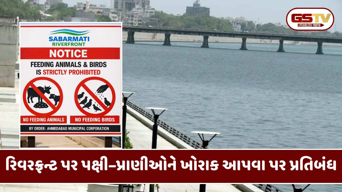 Ahmedabad: રિવરફ્રન્ટ પર પક્ષીઓને ચણ અને પ્રાણીઓને ખોરાક આપવા પર મૂકાયો પ્રતિબંધ
