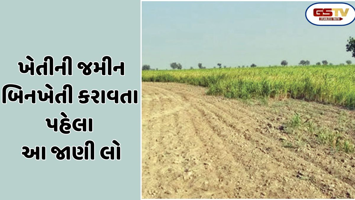 Business Plus: ખેતીની જમીન બિનખેતીમાં ફેરવવા જમીન મહેસુલના ઉદ્દેશ વિરૂધ્ધ હાઉ