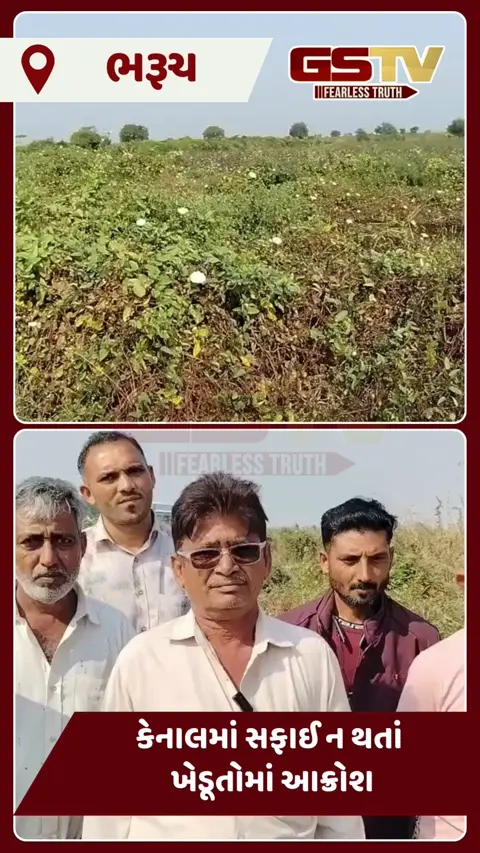 VIDEO: કેનાલની સફાઈ ન થતા આમોદના ખેડૂતોનો આક્રોશ ચરમસીમાએ, પાણી નહીં મળે તો કરીશું ઉગ્ર આંદોલન