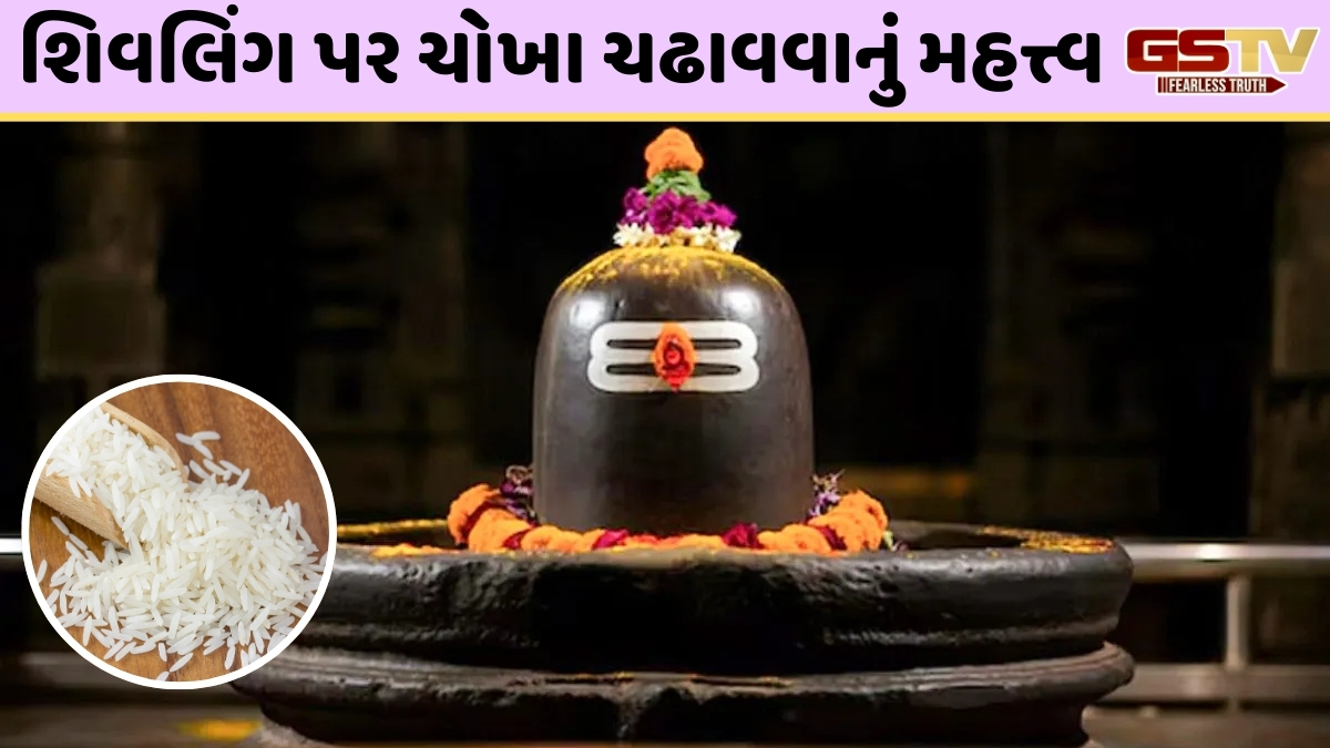 શિવલિંગ પર ચોખા ચઢાવવાથી કેમ મળે છે દેવી લક્ષ્મીનો આશીર્વાદ? જાણો શિવ મહાપુરાણનું ચમત્કારિક રહસ્ય