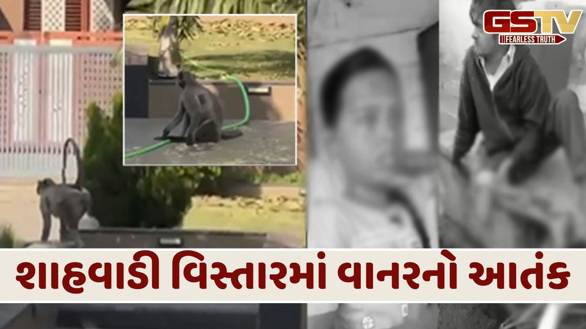 કપિરાજનો આતંક: આધેડ-દીકરીને બચકું ભરીને ભાગી ગયો વાનર, સ્થાનિકોમાં ભય